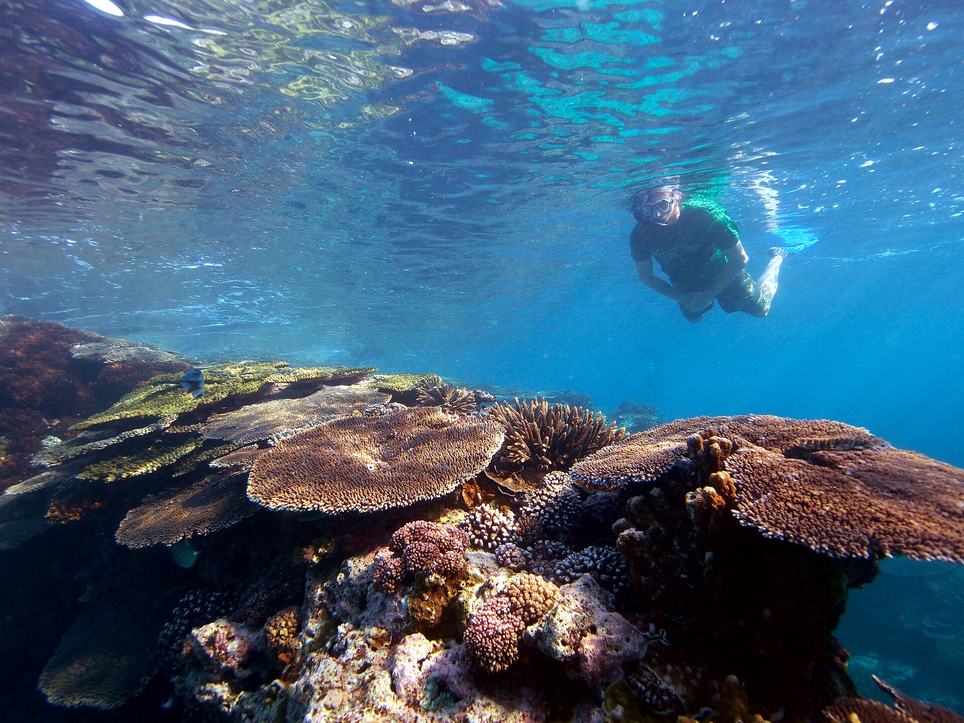 Great Barrier Reef pontoon