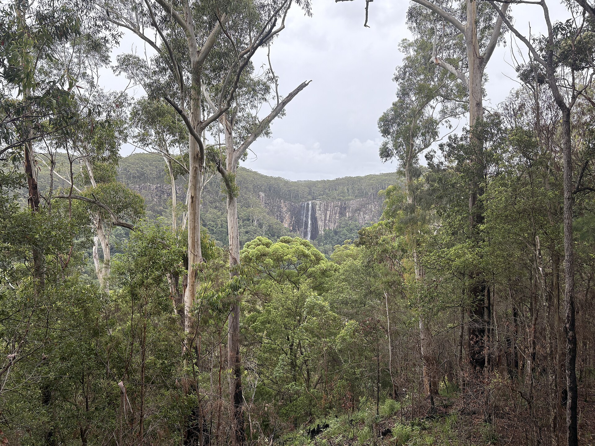 Atherton Tablelands waterfalls