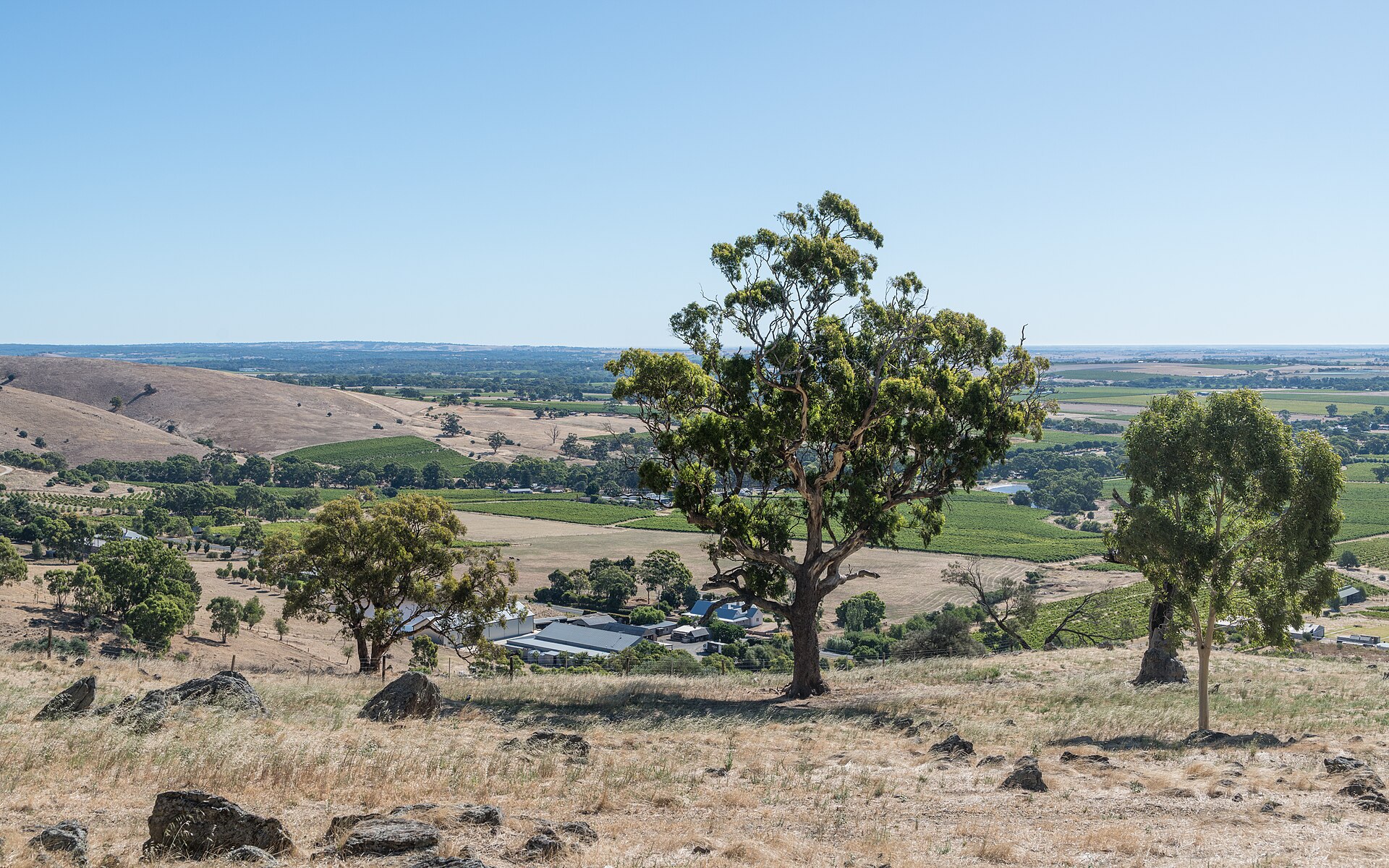Barossa Valley, South Australia