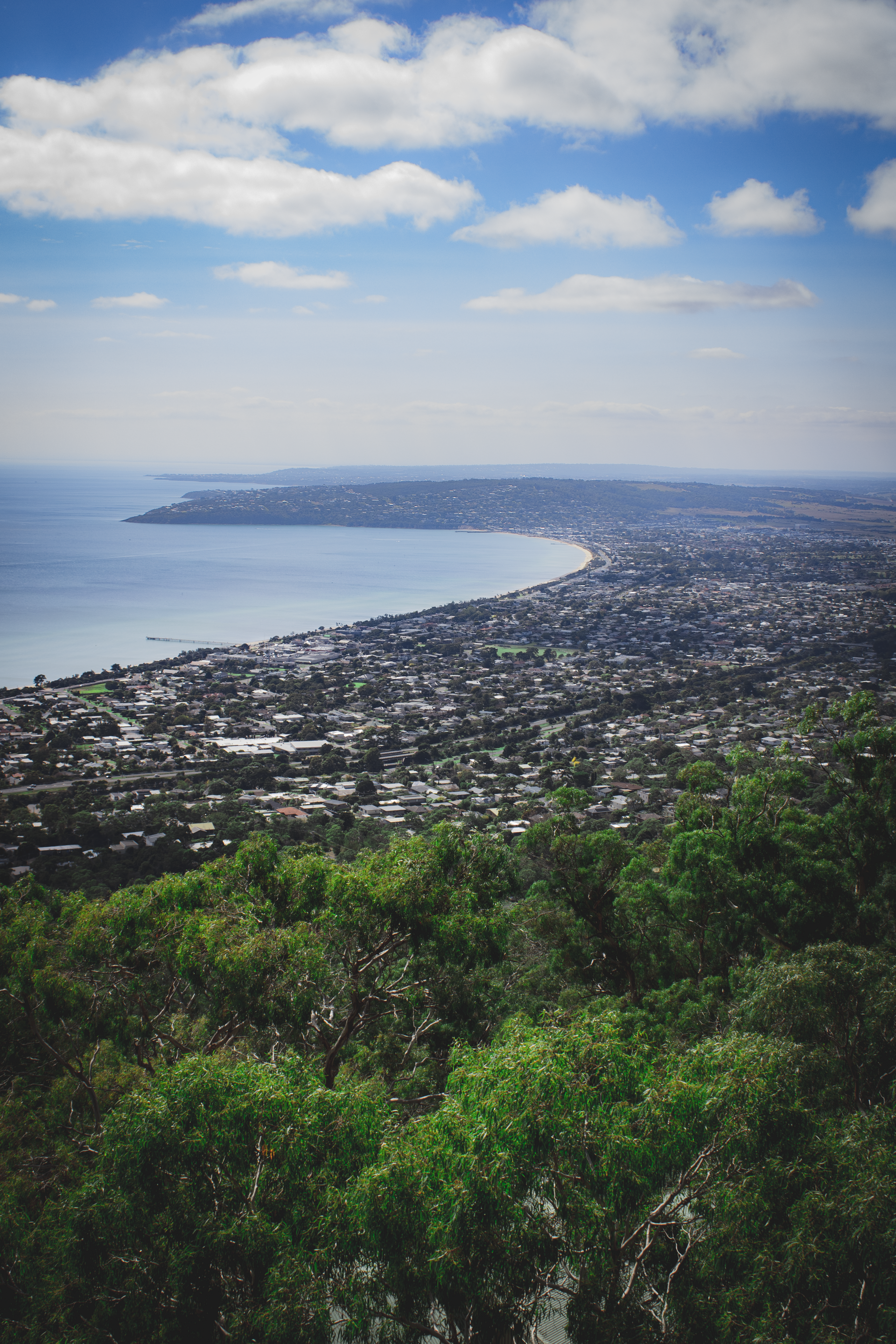 Arthurs Seat Eagle