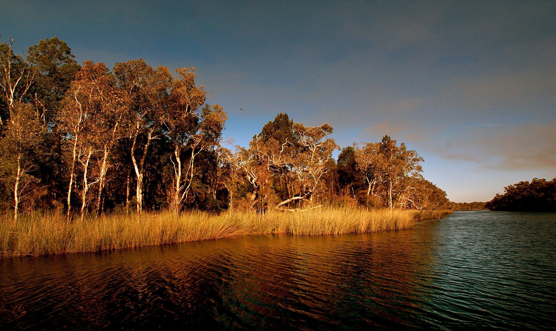 Noosa Everglades