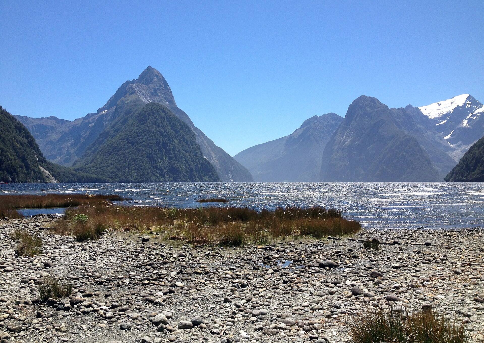 Milford Sound day trip